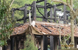 Cháy đền thờ Lê Lai